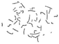 dataset adjust 2 project thumbnail