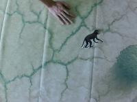 animal1 project thumbnail