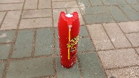 Dataset Image