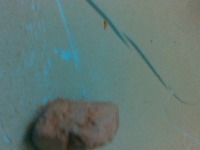 Underwater_object_detection_Project project thumbnail