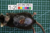 2025-08-22 JY project thumbnail