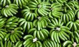 Kematangan Pisang project thumbnail