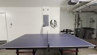 Ping Pong Ball project thumbnail