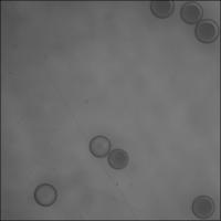 droplet project thumbnail