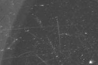 yolo-fenlei project thumbnail