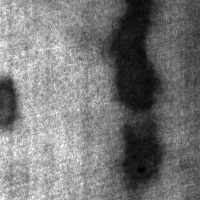 surface defects Object Detection Dataset by Kah Boon