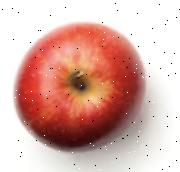 fresh apple project thumbnail