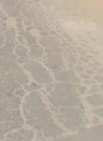 cracks project thumbnail