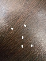 rice22 project thumbnail