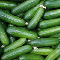fresh_cucumber_annotation_task project thumbnail