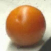 NUTRISCAN project thumbnail