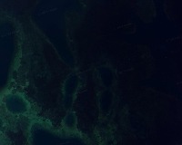 Seaweed-EDF project thumbnail