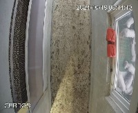 pigs project thumbnail