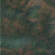 forest07 project thumbnail