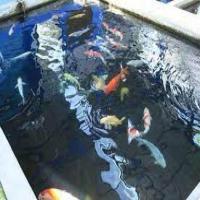 water turbidity Object Detection Model by turbiditywater
