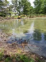 water turbidity Object Detection Model by turbiditywater