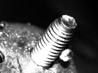 bolt1 project thumbnail