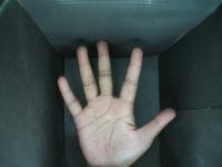 Hand Segmentation project thumbnail