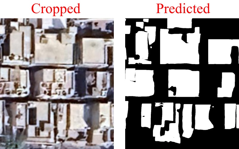 tree detection Object Detection Model by dhrutiworkspace