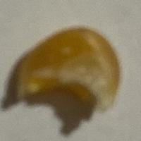 bad_pop_corn project thumbnail