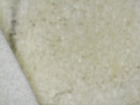 YoloEggCounter project thumbnail