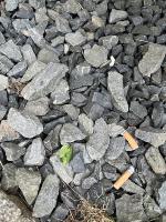 cigarette butts project thumbnail