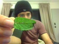 Maturity project thumbnail