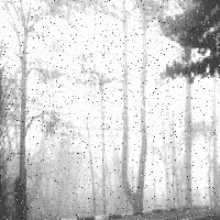 Fog Object Detection Model by sridharan