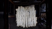 bamboo_project project thumbnail