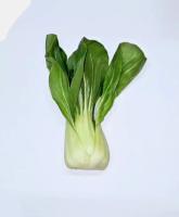 Bok Choy Growth Stage project thumbnail