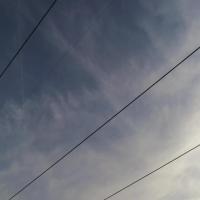 Cable_Detection_02 project thumbnail