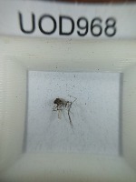 Visual Verification project thumbnail