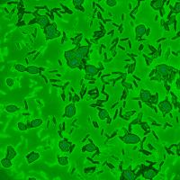 cells project thumbnail