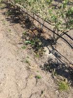 farm-priority-16 project thumbnail