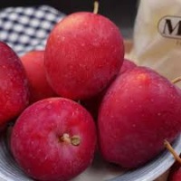 Fruit project thumbnail