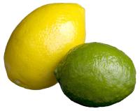 Lime detection project thumbnail