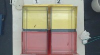 Zebra Fish project thumbnail