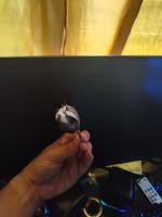 cotton boll growth stage project thumbnail
