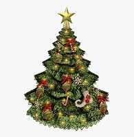 Christmas trees project thumbnail