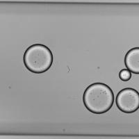 Data Droplet  project thumbnail