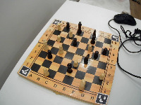 Dataset Image