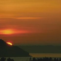forest_protection project thumbnail