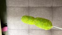 Bacteria1014 project thumbnail