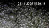 volcan_zinc project thumbnail