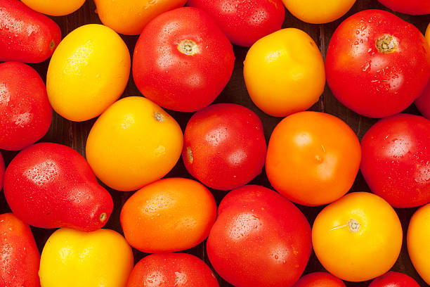 Tomato Ripeness Detection Object Detection Model (v1, 2025-08-31 5:00pm ...