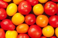 Tomato Ripeness Detection project thumbnail