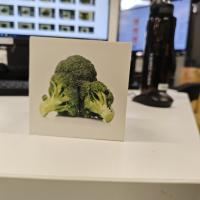 IC382-AI2 project thumbnail