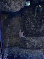 aquarium-data-cots project thumbnail