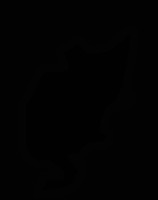 The Oxford-IIIT Pet Dataset project thumbnail