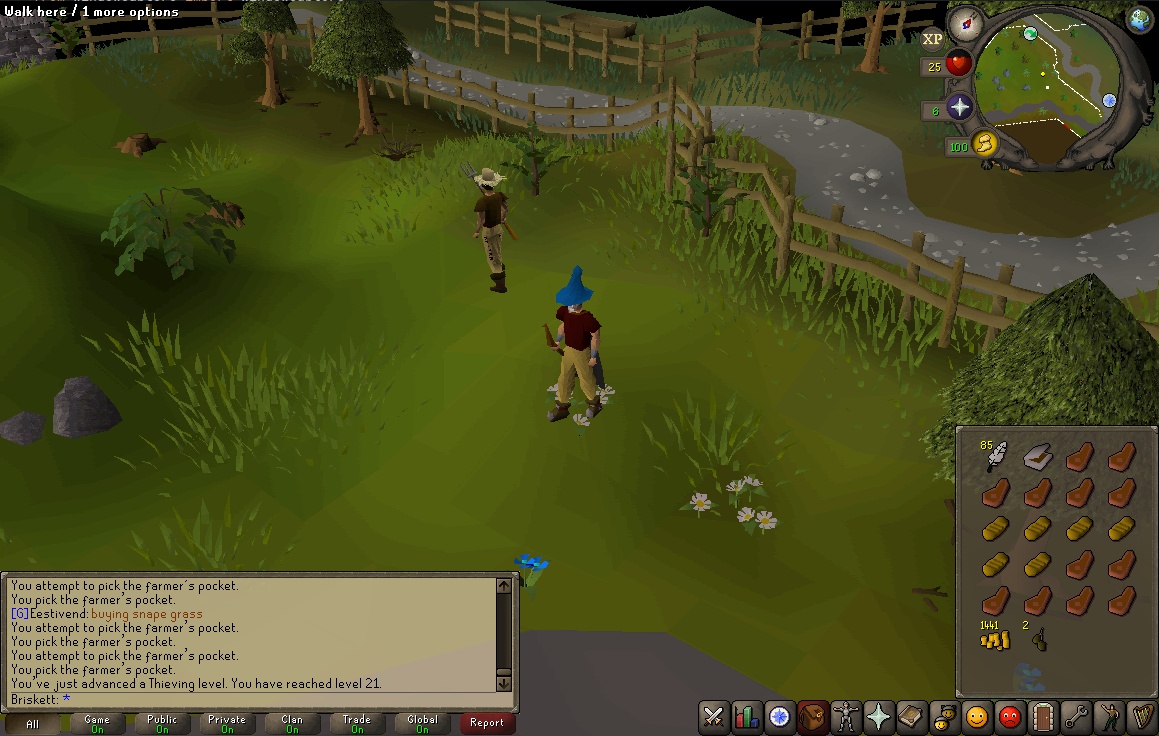 Farmer Detection Object Detection Dataset by OSRS